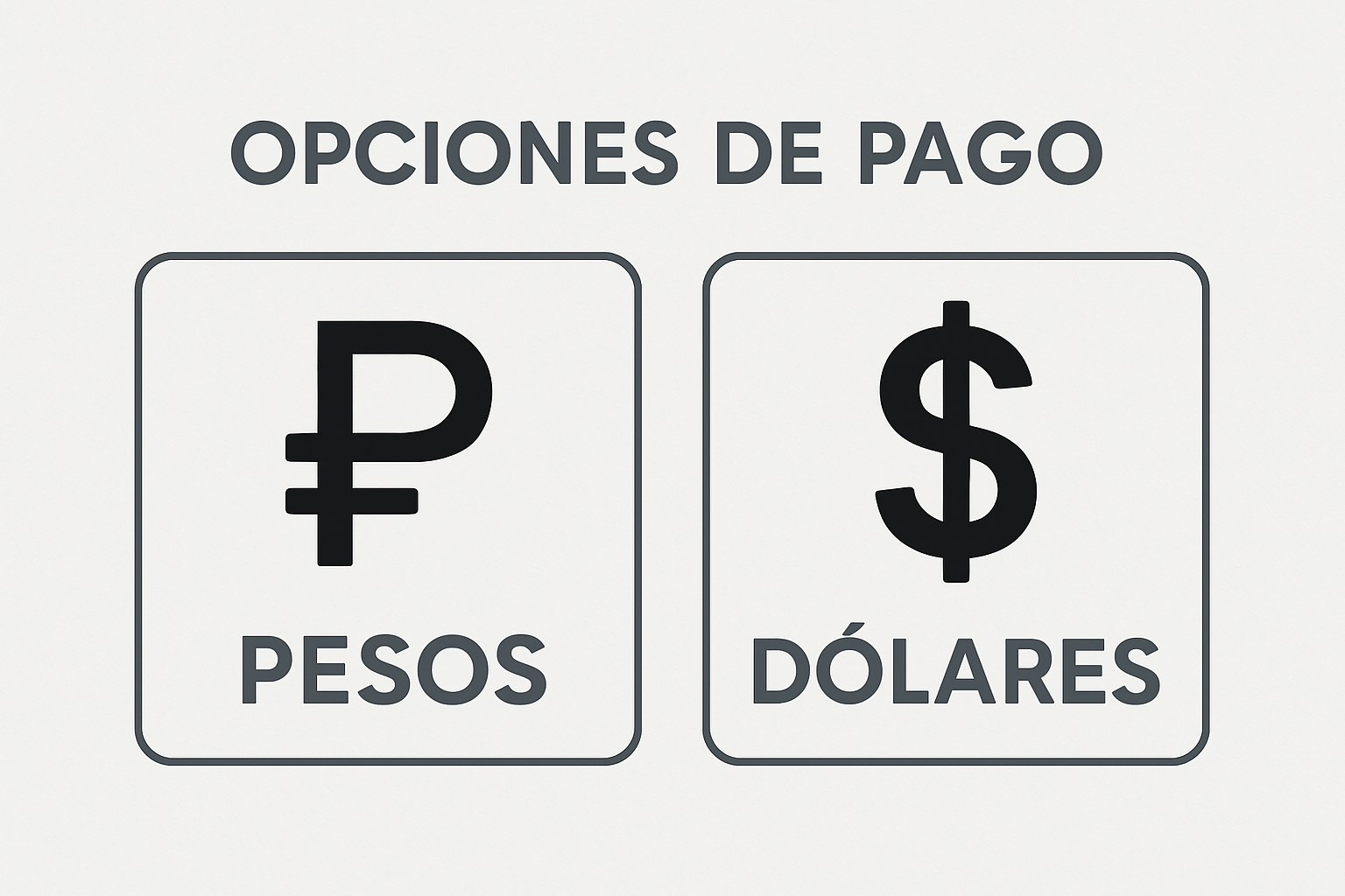 Opciones de pago en pesos y dólares